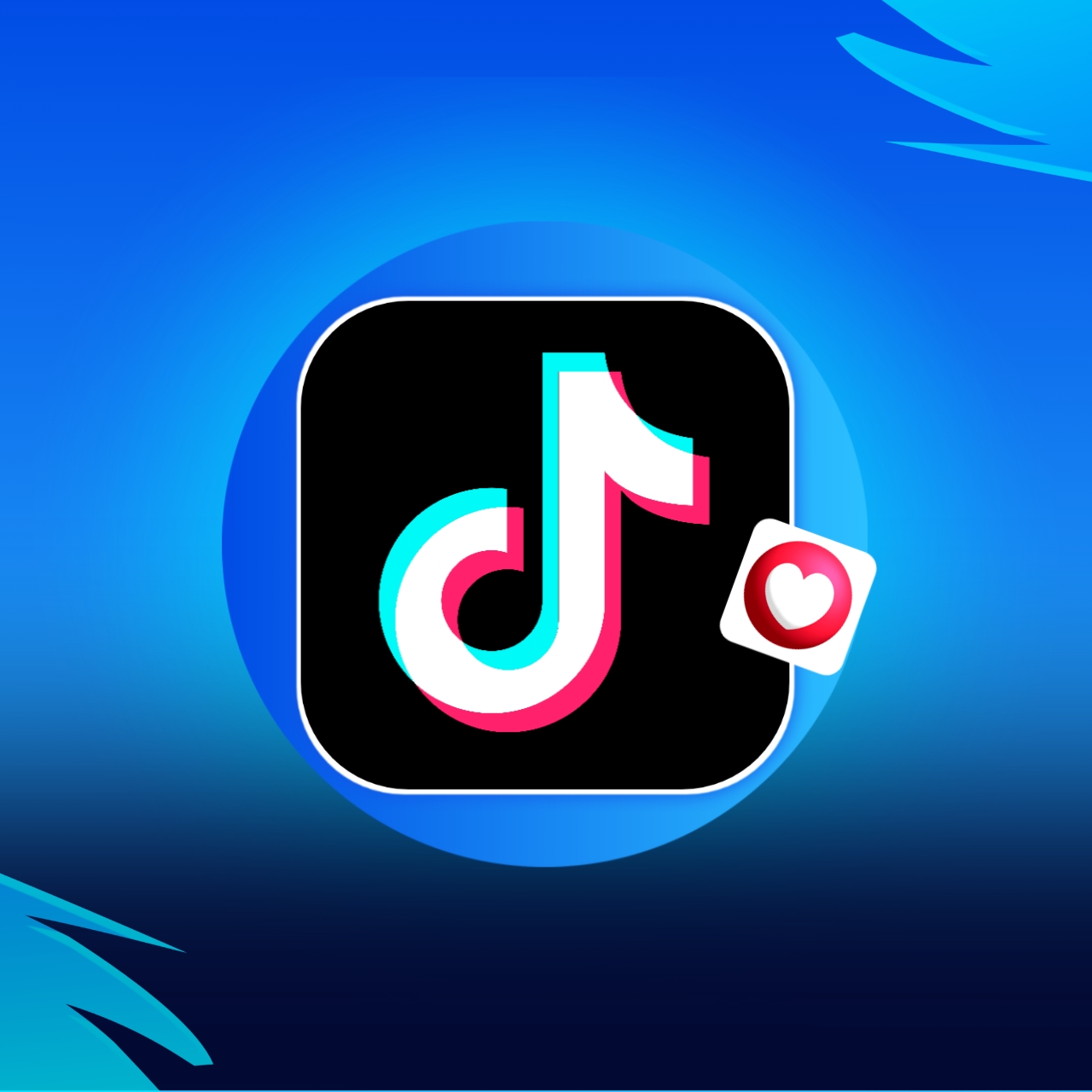 TikTok Video Views
